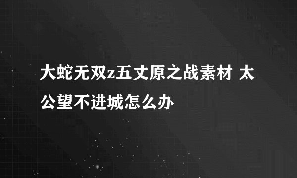 大蛇无双z五丈原之战素材 太公望不进城怎么办