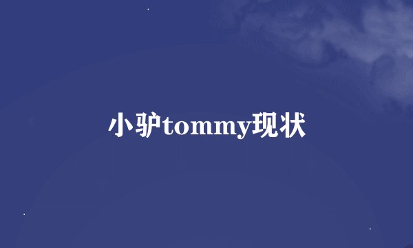 小驴tommy现状