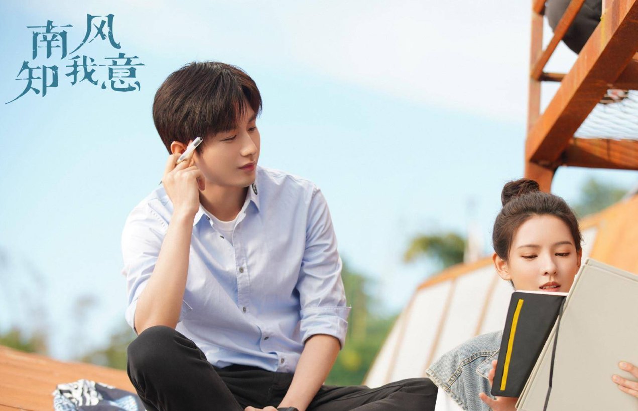 南风知我意播出时间表