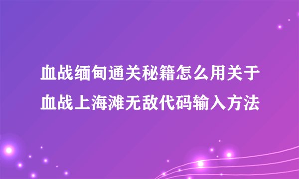 血战缅甸通关秘籍怎么用关于血战上海滩无敌代码输入方法