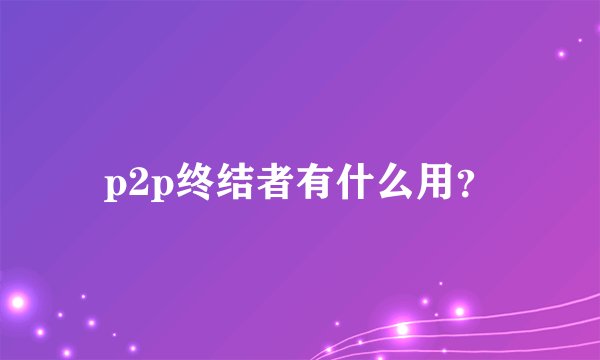 p2p终结者有什么用？