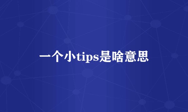 一个小tips是啥意思