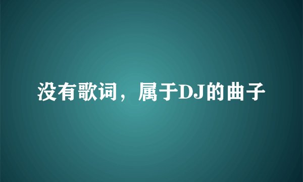 没有歌词，属于DJ的曲子