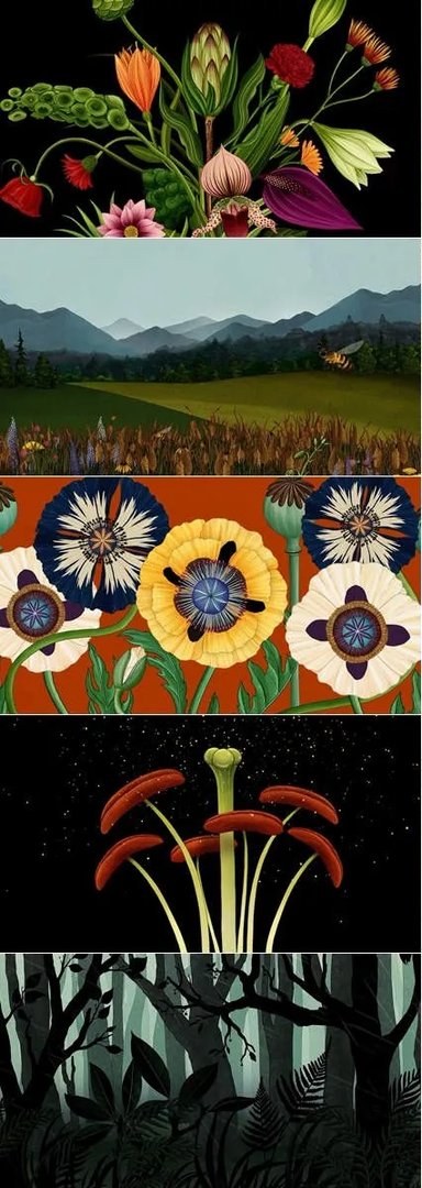 春生夏长花花草草足矣什么意思？