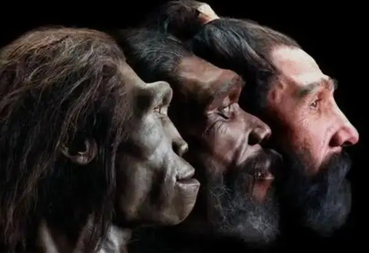 人类是如何交匹配的教学视频