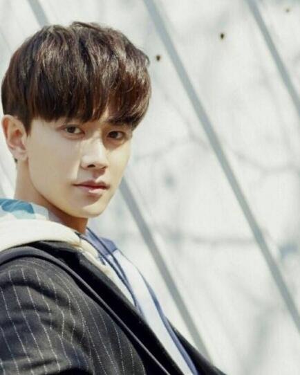 任嘉伦为何娶了聂欢