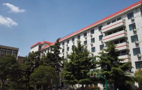 郑州2中高中分校、19中哪个好？