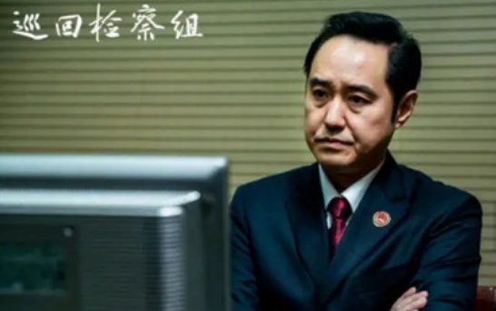巡回检察组演员表