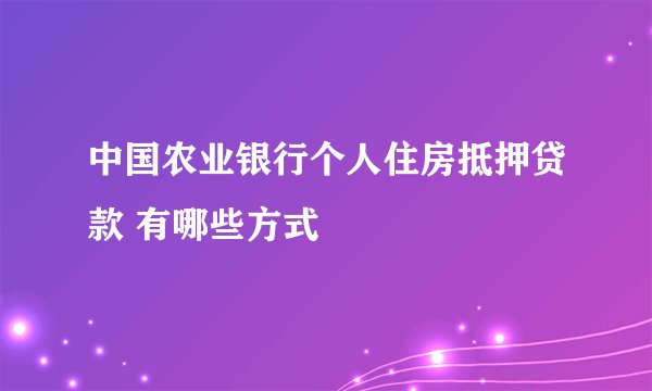 中国农业银行个人住房抵押贷款 有哪些方式