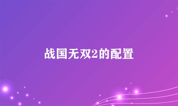 战国无双2的配置