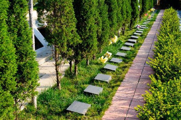 代表建议全面取消经营性公墓，你赞同这一建议吗？