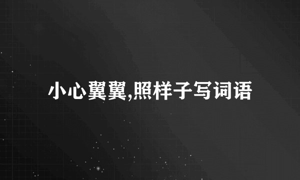 小心翼翼,照样子写词语