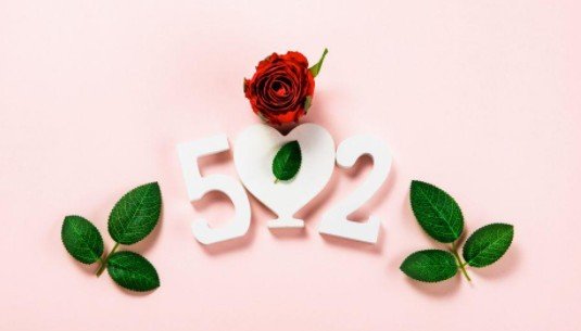 2021520代表什么意思？