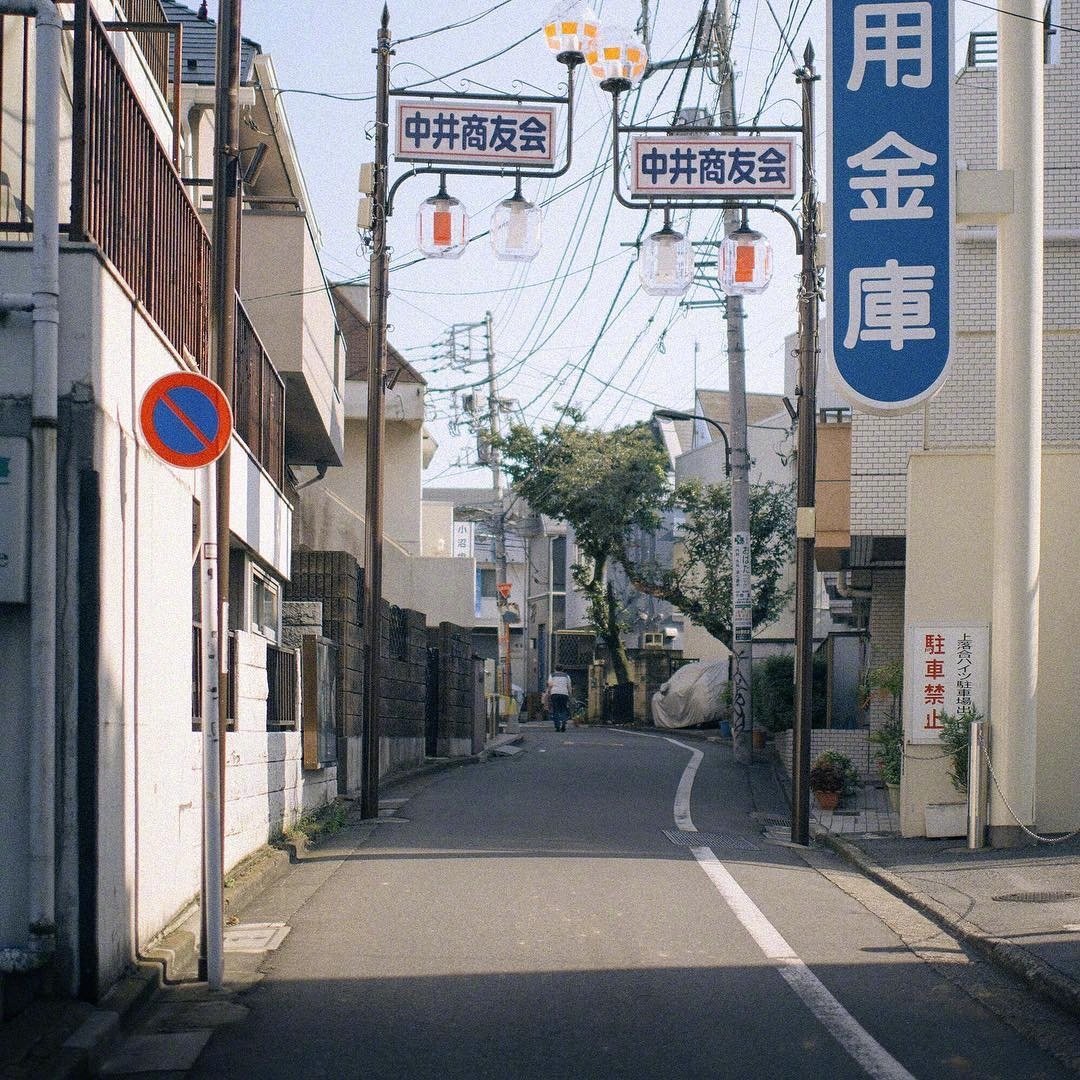 导游举鲤鱼旗带团游南京中山陵遭怒斥，此举有何不妥？