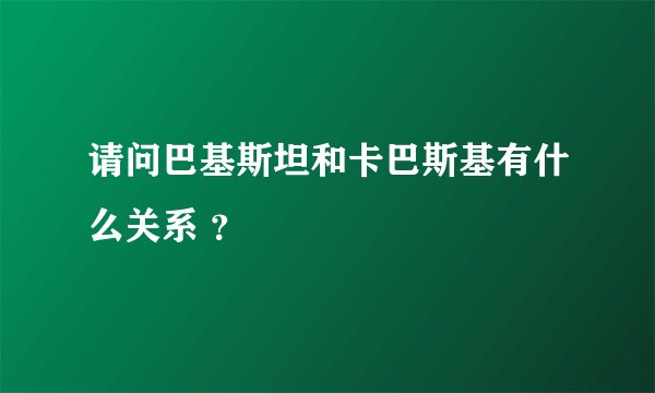 请问巴基斯坦和卡巴斯基有什么关系 ？