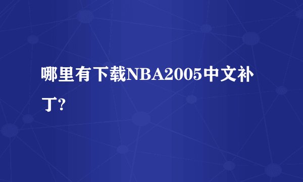 哪里有下载NBA2005中文补丁?