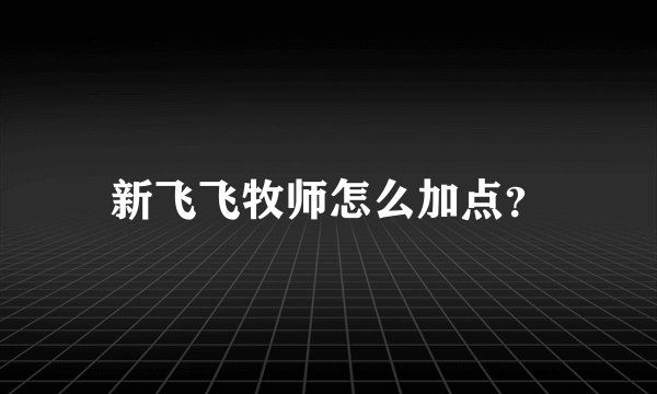新飞飞牧师怎么加点？