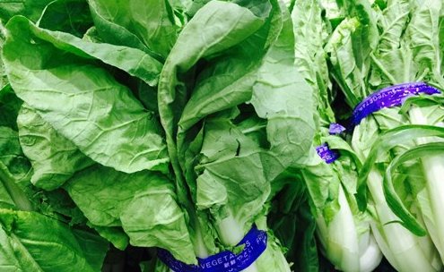 哪种蔬菜含盐高