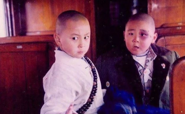 释小龙和郝绍文有什么电影啊！