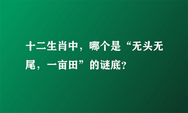 十二生肖中，哪个是“无头无尾，一亩田”的谜底？