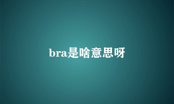 bra是啥意思呀