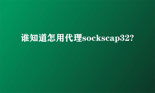 谁知道怎用代理sockscap32?