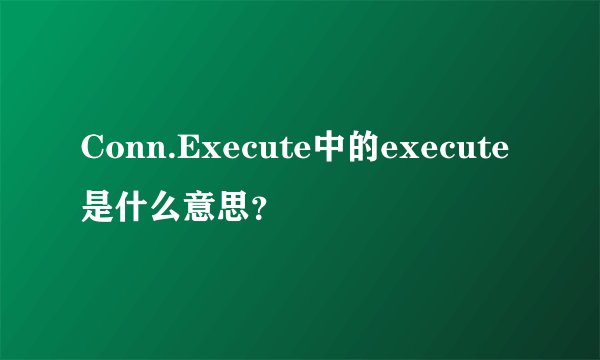 Conn.Execute中的execute是什么意思？