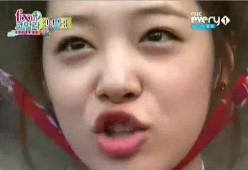 fx的koala的节目嘉宾