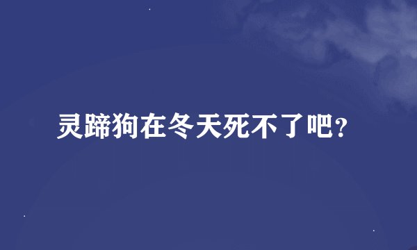 灵蹄狗在冬天死不了吧？