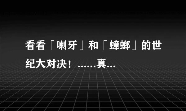 看看「喇牙」和「蟑螂」的世纪大对决！......真的是快、狠、准啊！