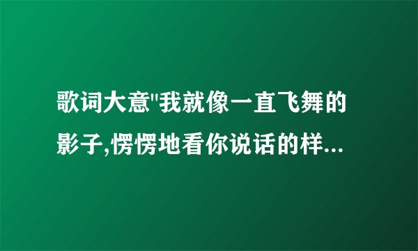 歌词大意