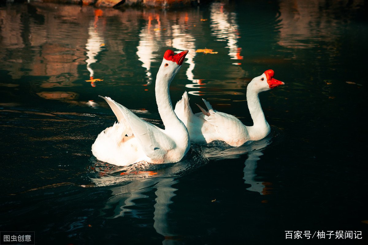 “初唐四杰”之一的骆宾王，为什么被人们称为神童？