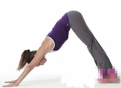 倒走，飞燕式，拱桥式是什么？