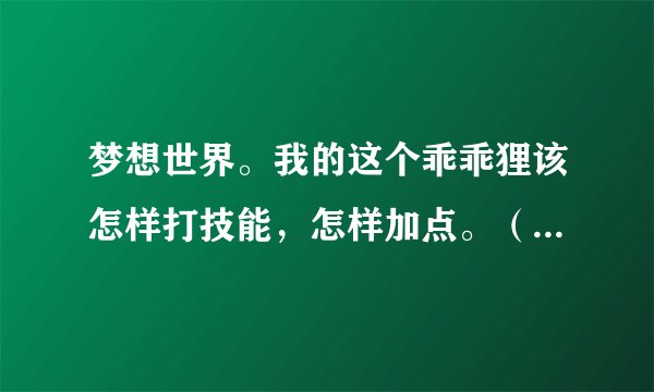 梦想世界。我的这个乖乖狸该怎样打技能，怎样加点。（技能是乱打的）
