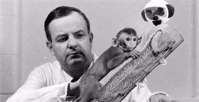 乖戾的意思是什么呢