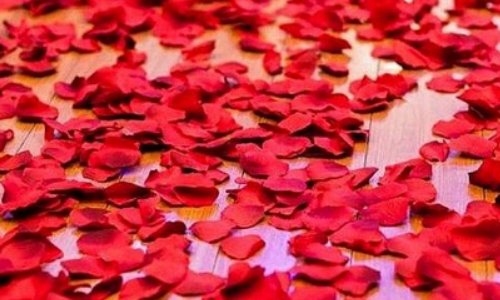 如何晒玫瑰花干