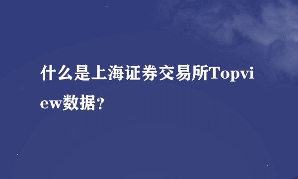 什么是上海证券交易所Topview数据？
