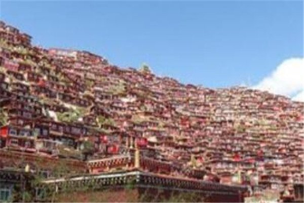 丁真走红后所在博物馆陆续有游客前来，丁真给当地旅游业带来了怎样的收益？