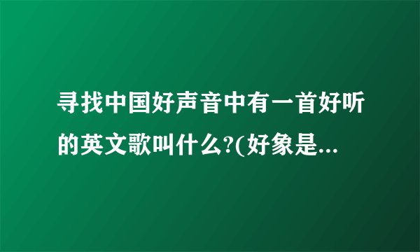 寻找中国好声音中有一首好听的英文歌叫什么?(好象是奥斯卡获奖曲目)
