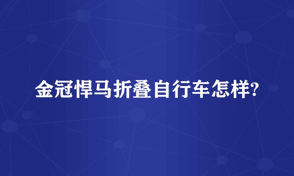 金冠悍马折叠自行车怎样?