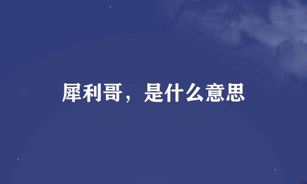 犀利哥，是什么意思
