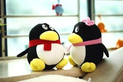 怎样在QQ应用中使用暗恋功能