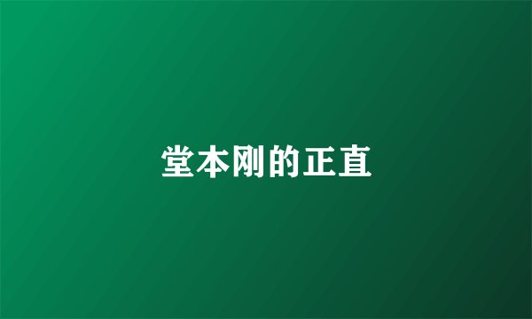 堂本刚的正直