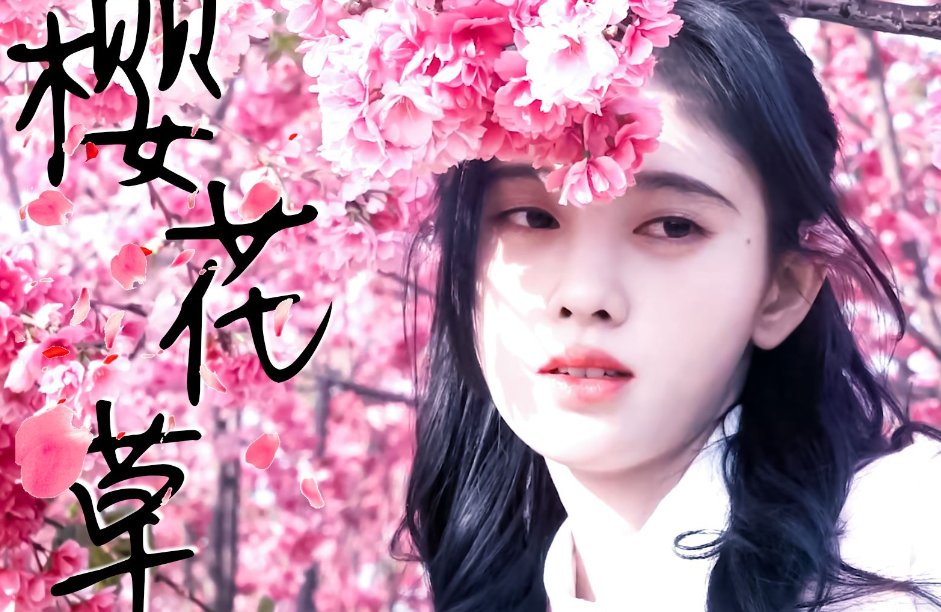 樱花草是哪个电视剧的主题曲