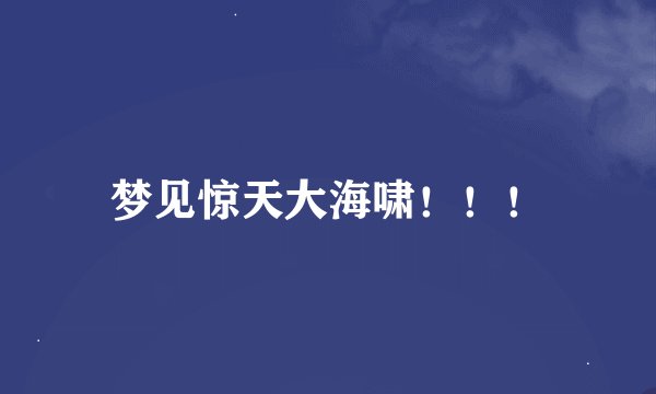 梦见惊天大海啸！！！