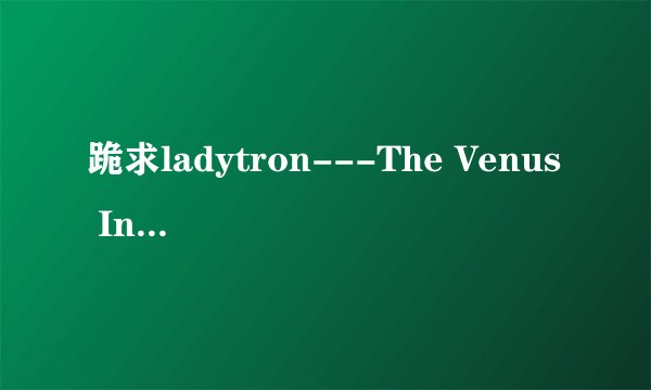 跪求ladytron---The Venus In Furs（天鹅绒金矿插曲）的歌词~