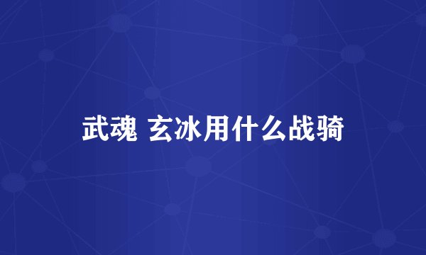武魂 玄冰用什么战骑