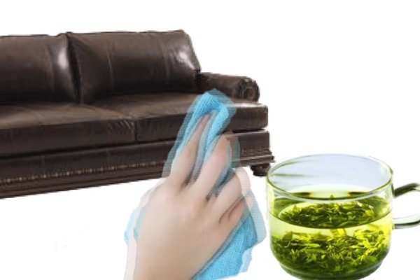 如何去除沙发上的狗尿味