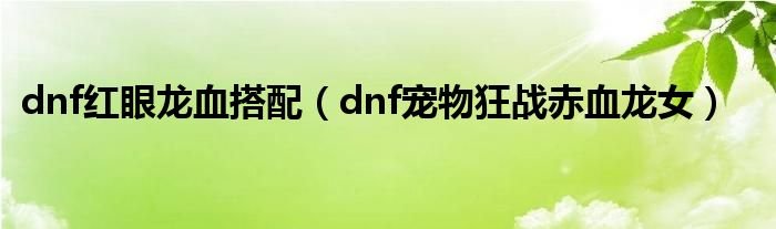 dnf红眼龙血搭配dnf宠物狂战赤血龙女