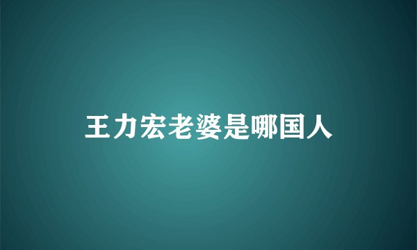 王力宏老婆是哪国人